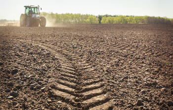 Low Compaction